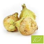 Čerstvá žltá cibuľa BIO Poľsko - cca 5 kg