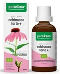 Echinacea forte (Echinacea purpurea) kvapky doplnok stravy bio 50 ml