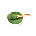 Moringa - prášok 2 kg – Tola