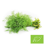 Čerstvý kôpor, zväzok BIO 1 ks. (Poľsko) (približne 20 g)