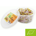 Čerstvé Bio klíčky reďkovky – ~ 50 g