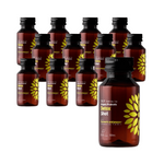 SADA 12 x Kombucha BIO Probiotický detoxikačný shot 100ml
