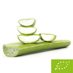 Čerstvé aloe vera bio (približne 0,50 kg)