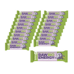 SADA 20 x RAW ENERGY BIO tyčinka čierne ríbezle-kokos Gfree. BIO 50 g