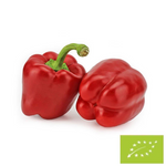 Čerstvá červená paprika bio (cca 0,60 kg)