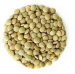 Zelená šošovica BIO (surová) (25 kg) 4