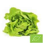 Čerstvý hlávkový šalát BIO (Poľsko) (približne 0,20 kg)