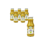 SADA 6 x Zázvorová šťava Nfc Bio 250 ml