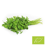 Čerstvá petržlenová vňať BIO (Poľsko) (približne 35 g)