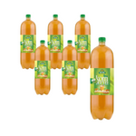 SADA 6 x Kombucha zelený čaj BIO 2 l