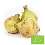 Čerstvá žltá cibuľa Bio (Poľsko) (cca 1,00 kg)