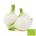 Biela cukrová cibuľa, čerstvá Bio (Poľsko) – približne 1,00 kg