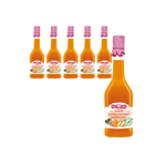 SADA 6 x Sirup z kurkumy a zázvoru 500 ml
