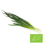 Pažítka BIO (Poľsko) (približne 0,12 kg)