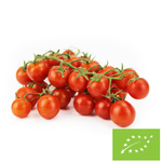 Čerstvé cherry paradajky na konári BIO (cca 0,25 kg)