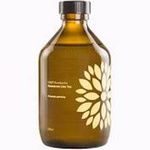 Kombucha Zázvor+Acerola BIO 330 ml