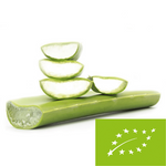 Čerstvé aloe vera BIO 1 kg