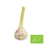 Čerstvý cesnak BIO (Poľsko) - približne 125 g