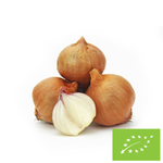 Čerstvá šalotka Bio – približne 0,50 kg