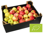 Šťava z jabĺk čerstvá BIO Poľsko - cca 5 kg