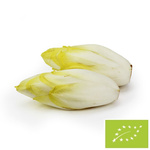 Čerstvá čakanka Bio 5 kg – Bio Planet