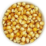 Popcorn (kukuričné zrno) BIO (surovina) (25 kg) 2 – Horeca