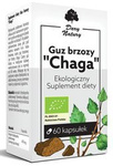 Čaga brezová nádorová BIO 60 kapsúl (470 mg)