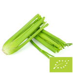 SNOW SELER ŚWIEŻY BIO (POĽSKO) (cca 0,30 kg)