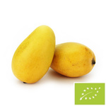 Mango Ataulfo čerstvé Bio (približne 0,18 kg) – Bio Planet