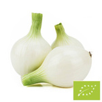 Cibuľa biela cukrová čerstvá Bio (Poľsko) (hromadné balenie kg) – približne 5 kg